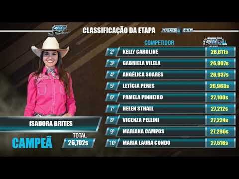 CRP Interativo - RADAR 2019