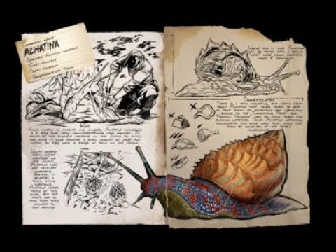 Ark Achatina Taming Guide - - - Ark Survival Evolved Taming - - - Free Cementing Paste & Polymer