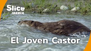 Thumbnail del capítulo