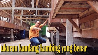 Download lagu Review of Kaligesing, Java Randu, Saanen, Boer goat pens mp3 Download lagu Review of Kaligesing, Java Randu, Saanen, Boer goat pens mp3