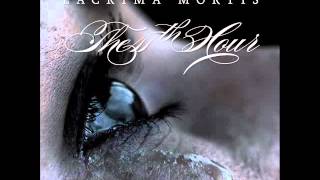 The 11th Hour - Reunion Illusion + Lyrics