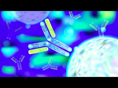 Introduction to Immunology