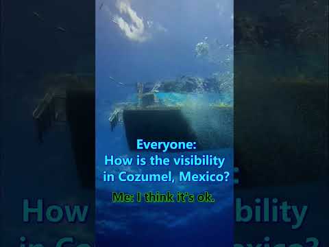 How is the visibility in Cozumel Mexico? 🤿 🐠 #scubadiving #cozumel