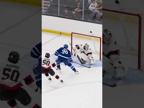 Toronto Maple Leafs video artwork