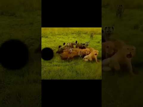 No Ando Solo 🔥| Bryant Myers #trap