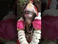 Happy Ganesh Chaturthi Ganesh Ji Hd 4k Full Screen Short Status Vinayak Whatsapp Status Video