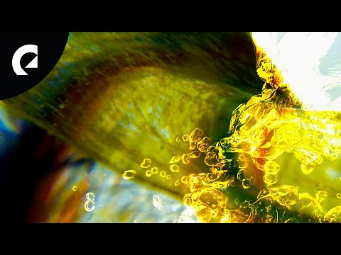 Giants' Nest - I Keep Looking for It