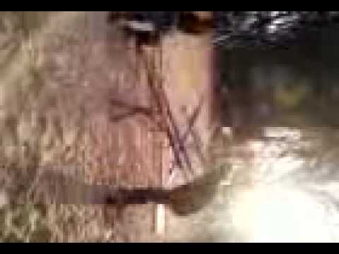 gangorra MOORTAL :x amaanda, alison, victor e tàainara :D