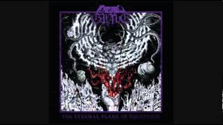 Traditional Metal Bands 204