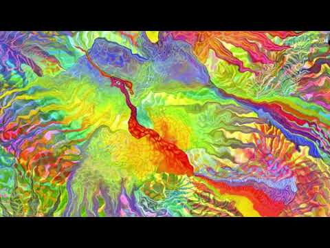 SERES VIVOS DA FLORESTA