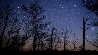 Radigost - Dreamscape