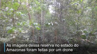 Miniatura do vídeo