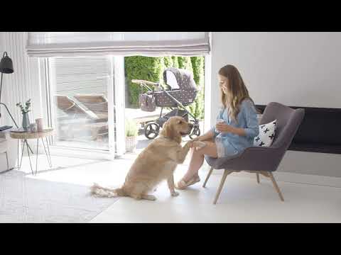 Adamex Reggio Y37 Bērnu Ratiņi 2in1