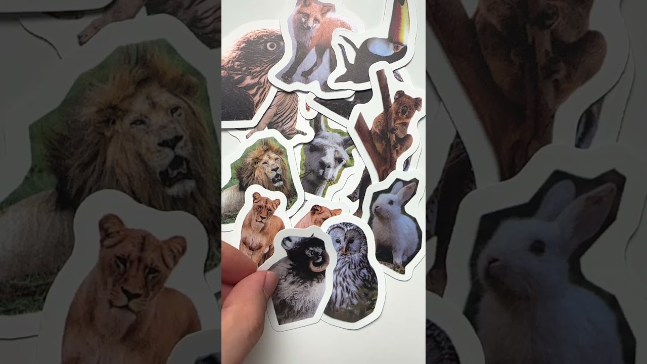 Bringing the wild to our collection! 🦁 A whole pack of these incredibly detailed animal stickers.