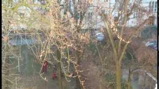 preview picture of video 'Ghostbusters in der Nachbarschaft'