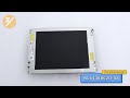 NL6448BC20-08 NLT 6.5 inch a-Si TFT-LCD  LCM 640(RGB)×480  VGA 122PPI