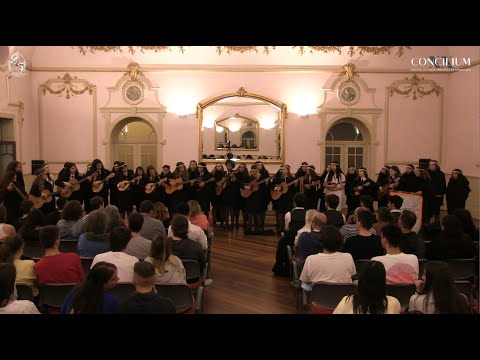 XX Concilium (Noite de Serenatas) - Afrodituna