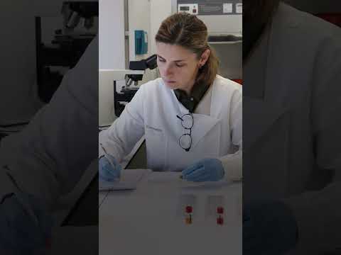 #EuroLabDay 2025: no Dia Europeu do Laboratório: a importância dos profissionais que apoiam as decisões médicas