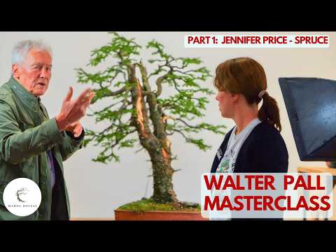 Spruce Bonsai Design: Solving the 'Twin Apex' Flaw (w/ Walter Pall)