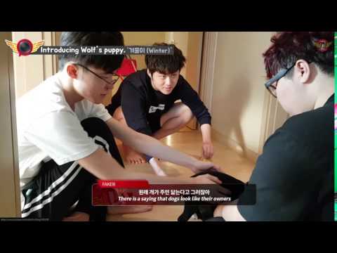 SKT Faker Savage Level Over 9,000 (calls Wolf fat)