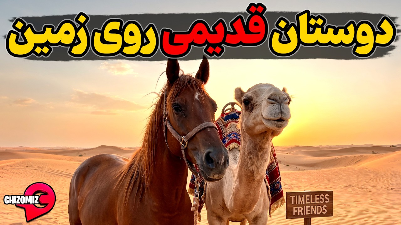داستان زندگی پر فراز و فرود اسب و شتر دو یار با وفای انسان ها