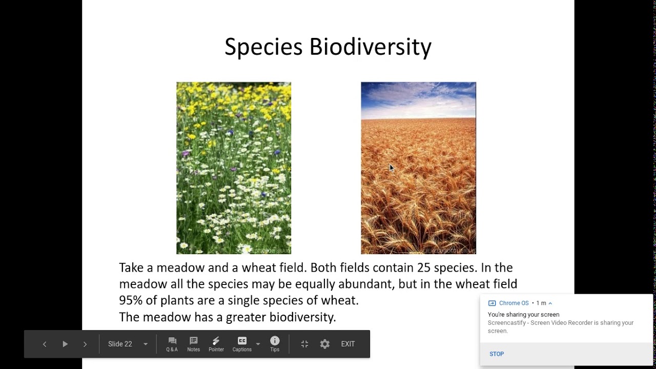 What does Crikey mean in Australia? Tipseri