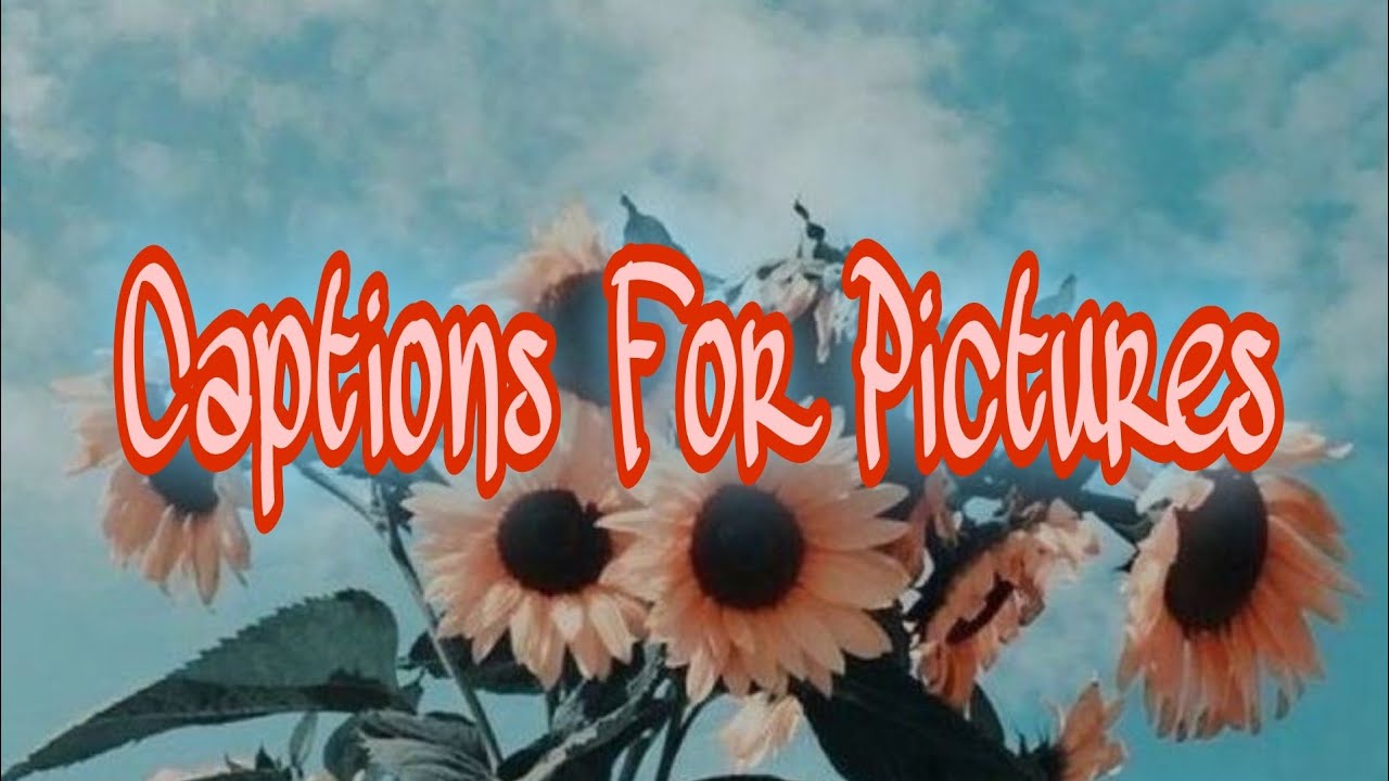 Captions For Pictures // Best Captions For Pictures