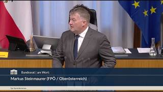 Markus Steinmaurer - Spritpreis-Pfusch der Einheitspartei - 25.3.2026