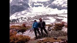 Days that used to be-Neil Young