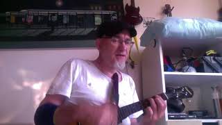 Seasons of the Ukulele: We the Kings - Friday is Forever