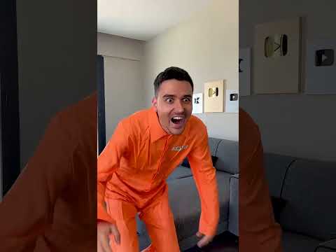 CRAZY CAT 😂 #shorts