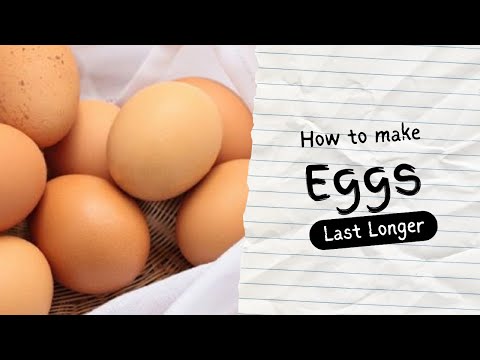 Egg Hack