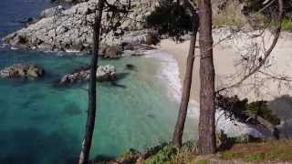 preview picture of video 'Playa Los Enamorados, Quintero, V Region, Chile'