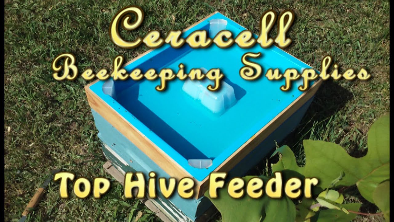 Ceracell Top Feeder SOLD OUT