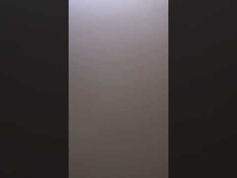 Prophetic dream . Leviticus 11:13