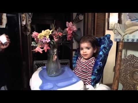 Isabella's High Chair Adventures : Flowers