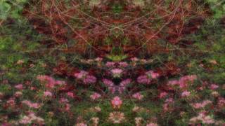 Celestial Steve Kilbey (Painkiller)