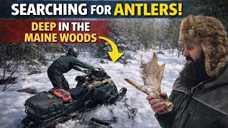 Reading the Snow: Predator Tracks & Hidden Finds in the Maine Woods (Part 1)