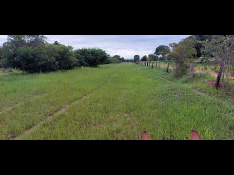 FAZENDA A VENDA EM BRITANIA-GO - 304 HECTARES - TODA CERCADA E FORMADA