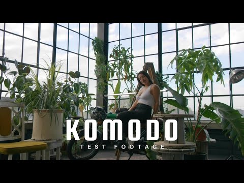 Flash Forward video.