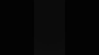 American Funeral - Star Cast