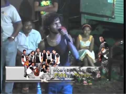 Dakina Dakina - Golden Shadows Live Music