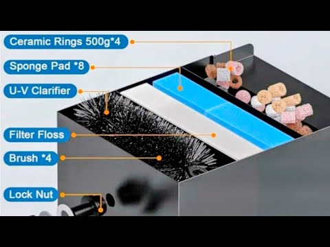 LOW PRICE POPOSOAP 4500gal Filter: Includes Pump, Fittings, Hose, UVs Stainless Steel Filter, Media