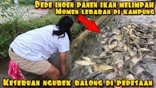 Download lagu DEDE INOEN HUNT PIRANHA FISH DURING EID WITH RESIDENTS mp3 Download lagu DEDE INOEN HUNT PIRANHA FISH DURING EID WITH RESIDENTS mp3