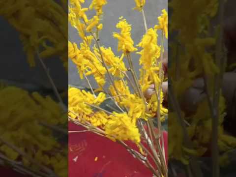 Flower 🌹🌹 l Puli srivardhan vlogs
