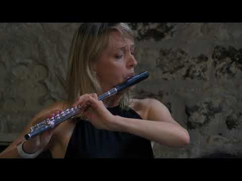 Pēteris Vasks: Little Summer music, by Janne Thomsen & Marianna Schiriniyan