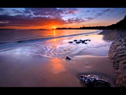 tyDi feat. Brinna Holan - Never Go Back (Feel Remix) Download LOSSLESS