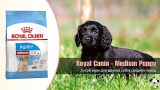 Royal Canin Medium Puppy 15 кг (30031501) - відео 1