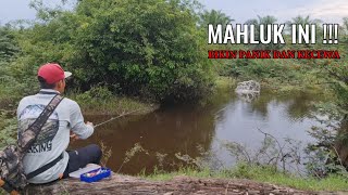 Download lagu MANCING IKAN GABUS DI KANAL DAN RAWA PEDALAMAN RIAU mp3