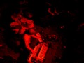 SSM - "Regenerate Your Face" - Live at New Dodge Lounge - Hamtramck, MI - October 6, 2006